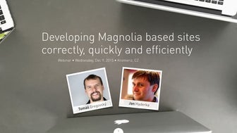 Developing Magnolia based sites correctly, quickly and efficiently