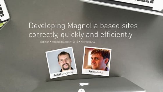 Developing Magnolia based sites correctly, quickly and efficiently