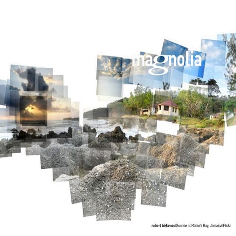 Magnolia CMS 5.0   - Three perspectives