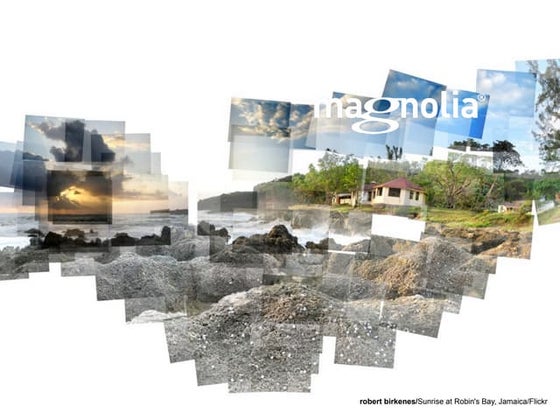 Magnolia CMS 5.0   - Three perspectives