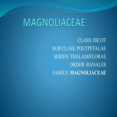 Magnoliaceae.pptx