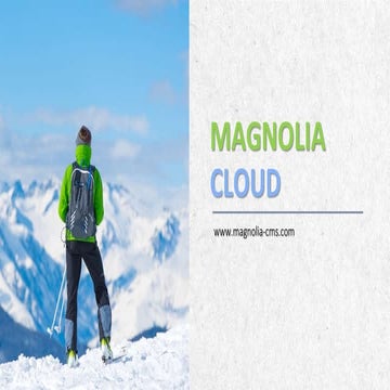 Magnolia CMS Cloud solution