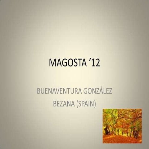 MAGOSTA 2012