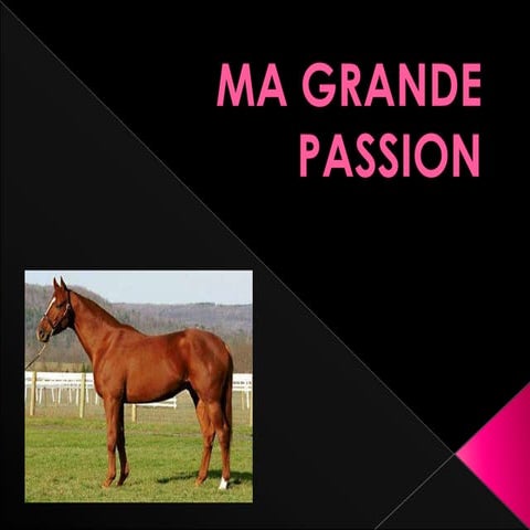 Ma grand passion 