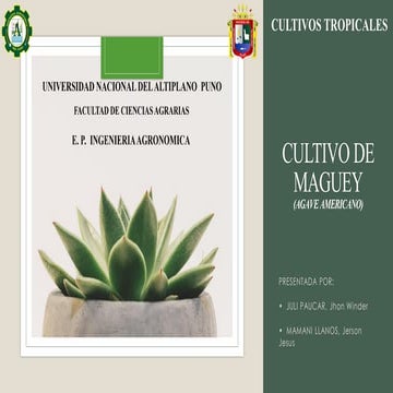 Manejo, abonamiento, siembra y cosecha del cultivo de maguey