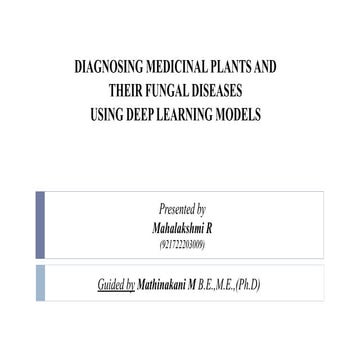 MAHA DISS PROJECT 1-1.pptx