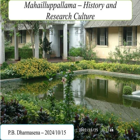 Mahailluppallama – History and Research Culture