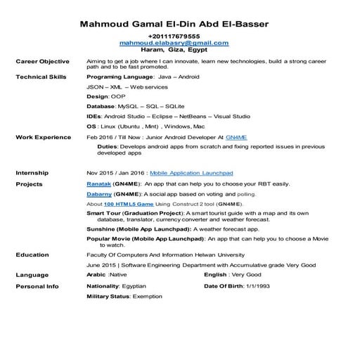 Mahmoud Gamal El-Din CV