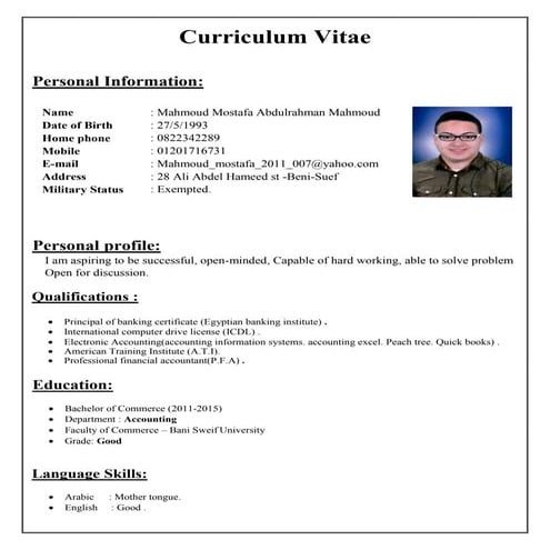 Mahmoud mustafa cv