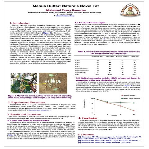 Mahua Butter: Nature’s Novel Fat