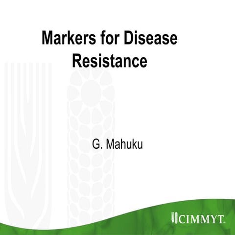Identification of quantitative trait loci for resistance to shoot fly ...