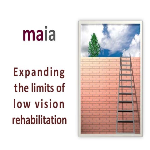 MAIA - Vision Training Module | PPTX