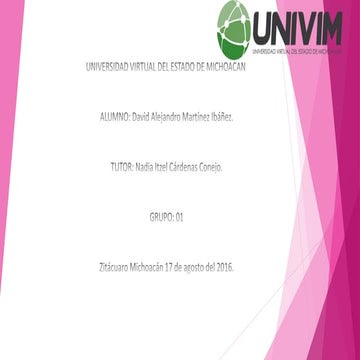 Maid aprendizaje autonomo