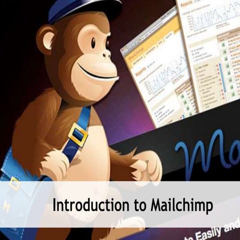 Mailchimp Introduction