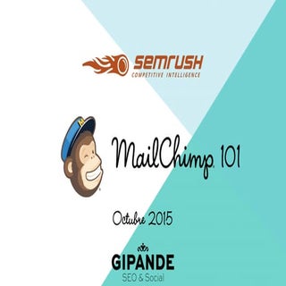 MailChimp 101