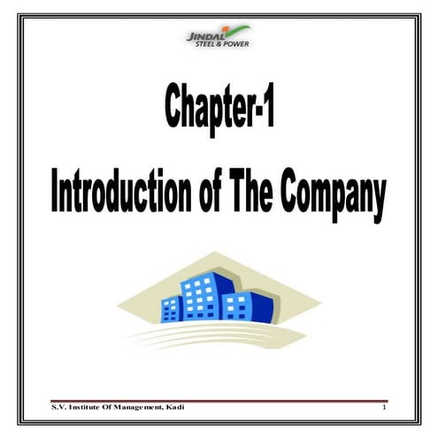 A financial project report on jindal steel power