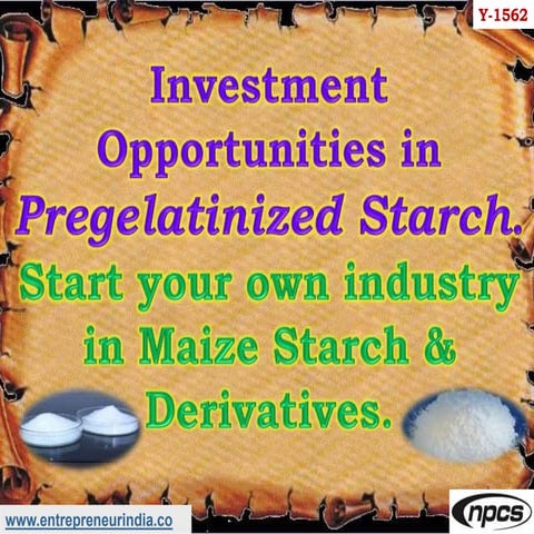 Investment Opportunities in Pregelatinized Starch. 