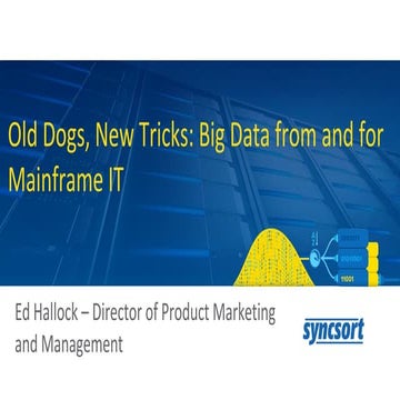 Old Dogs, New Tricks: Big Data from and for Mainframe IT