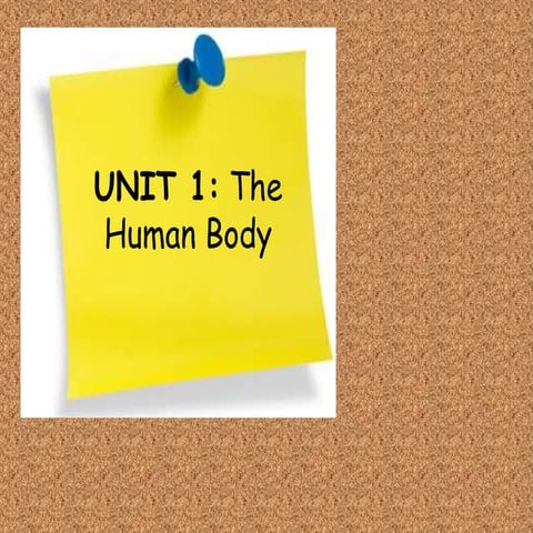 UNIT 1 SCIENCE 3ºA | PPT
