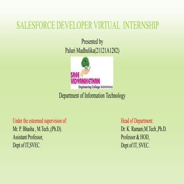 internship ppt on smartinternz platform as salesforce developer | PDF