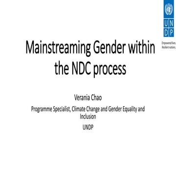 Mainstreaming Gender Within the NDC Process