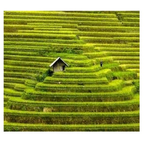 maintenance in agriculture risks   .pptx