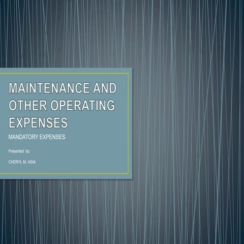 Maintenance and other operating expenses