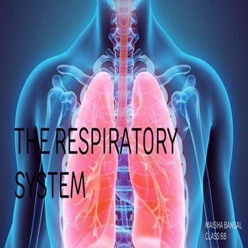 Maisha Bansal 6B.pptx_20250114_151006_0000.pdf