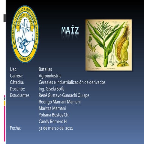 Maiz