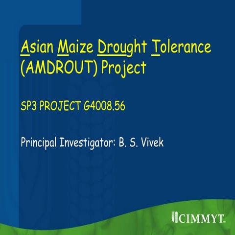 GRM 2011: Asian Maize Drought Tolerance (AMDROUT) Project