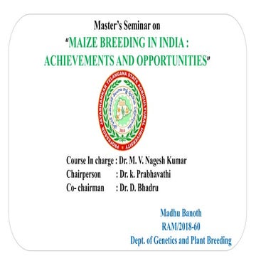 Maize Breeding in India: Achievements and Opportunities