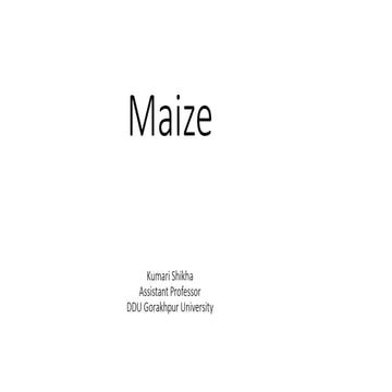 Maize botany.pdf