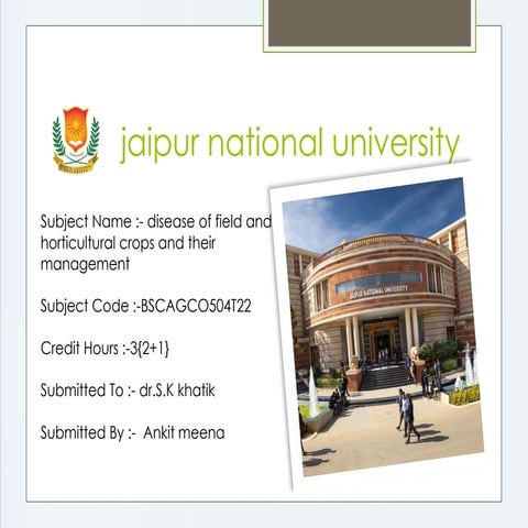 Maize_Downy_Mildew_Presentation.pptx jnu