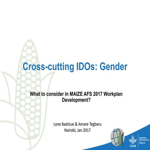 Cross-cutting IDOs: Gender
