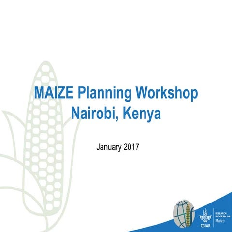 MAIZE Planning Workshop
