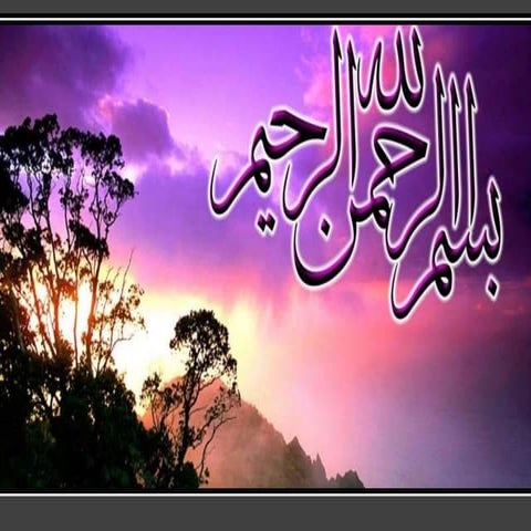 Economic importance and Phenological description of maize 