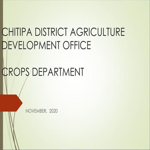 Maize Production manual-allpractices.ppt