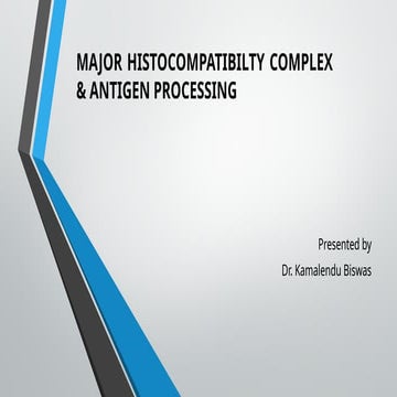 Immunology biochemistry medical presentation