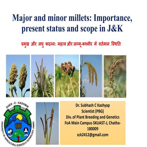 Major and minor millets Importance,  present status and scope in J&K.pdf
