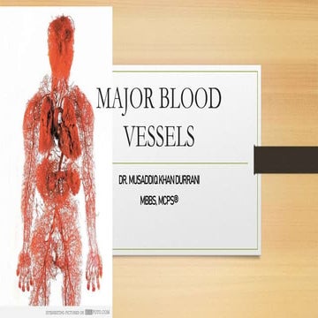 MAJOR ARTERIES & VEINS.pptx