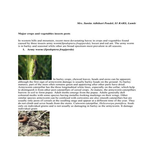 Major crop and vegetable insects pests (2)