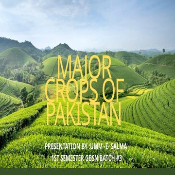 Agriculture Sector of Pakistan | PPTX
