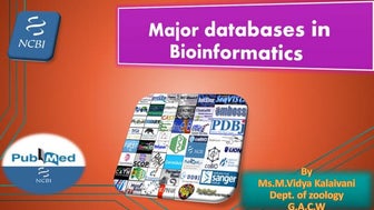 Major databases in bioinformatics