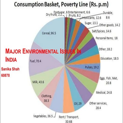 Major environmental issues in india