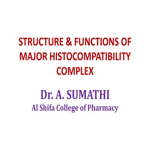 Major histocompatibility complex