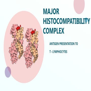 MAJOR HISTOCOMPATIBILITY COMPLEX.pptx immunology lecture