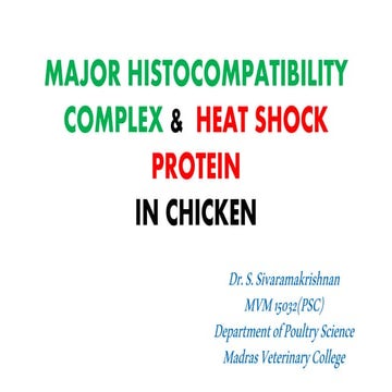 MAJOR HISTOCOMPATIBILITY COMPLEX AND HEAT SHOCK PROTEIN