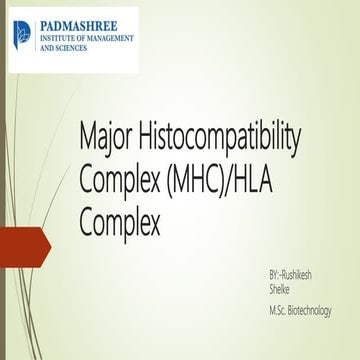 Major histocompatibility complex (mhc)