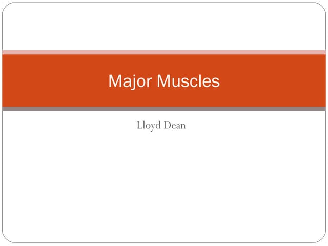 Major Muscles CYQ Level 3