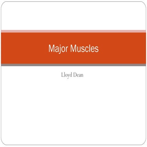 Major Muscles CYQ Level 3